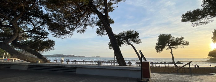 pacific bay is one of Mallorca Beach.