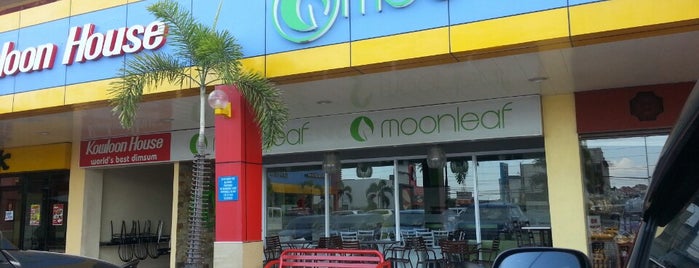 Moonleaf Tea shop is one of Coffee/Juice Shop.