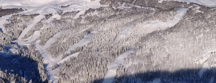 Ski center Bjelasica is one of Ulcinj/Persat/Tivat/Budva, Montenegro (Karadağ).