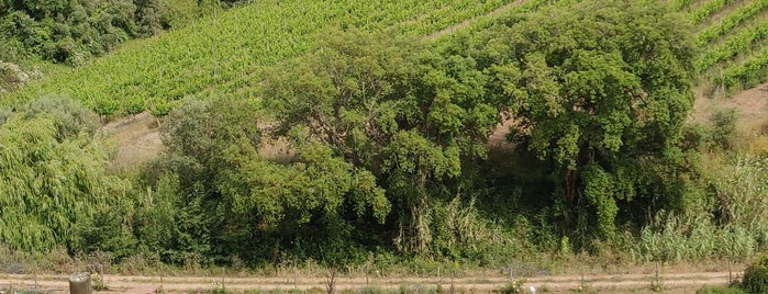 Quinta de Sant'Ana is one of Turismo Rural.