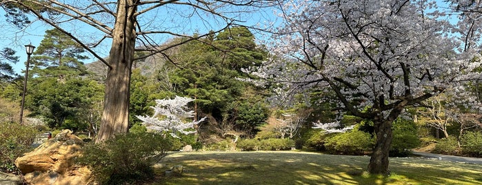 弥彦公園 is one of 新潟.