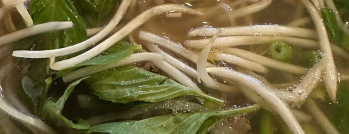 Life Pho is one of phở.