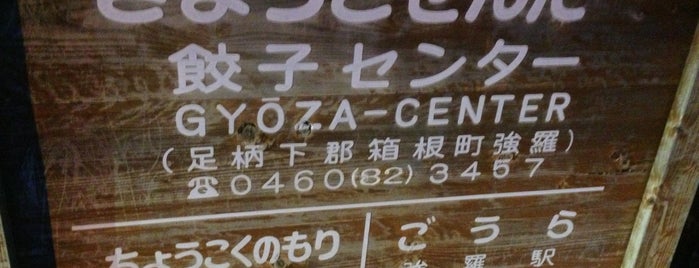 Gyoza Center is one of Hakone here and there.