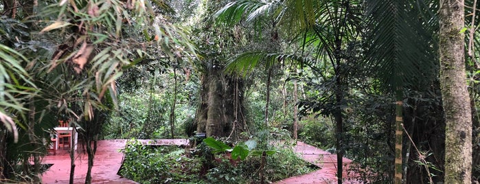 La Cantera Lodge de Selva is one of South America.