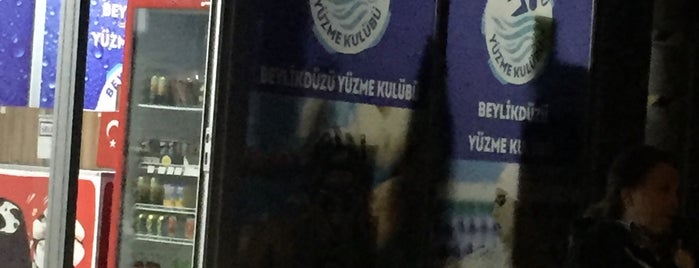 Beylikdüzü Yüzme Kulübü is one of Locais curtidos por Mesut.