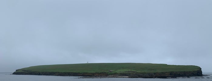 Brough of Birsay is one of Picts, The.
