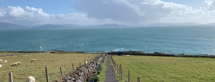 Dunbeg Promontory Fort is one of Killarney.