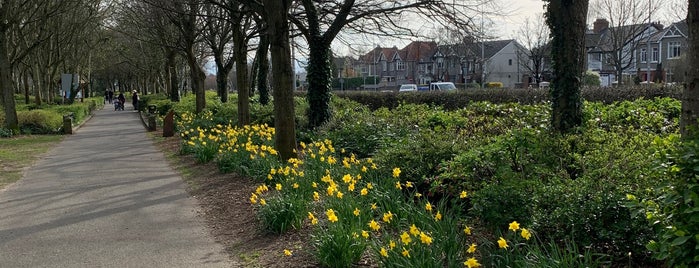 Albert College Park is one of Dublin.