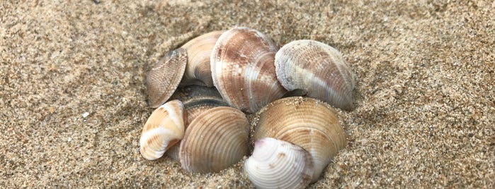 Evrika Beach Club Hotel is one of 👓 Ze'nin Beğendiği Mekanlar.