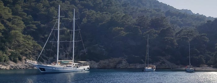 Ağa Limanı is one of Yoga Cruise Turkey.