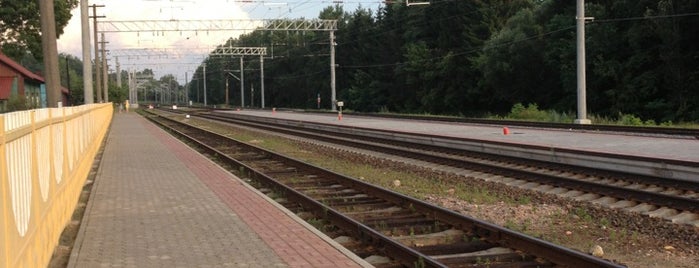 Станция Савичи is one of Все станции БЖД.