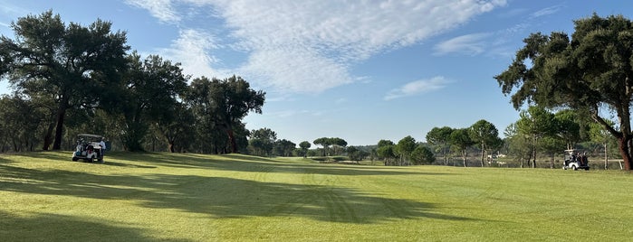 Ribagolfe is one of Golf Courses in Portugal.