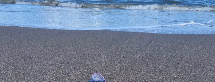 Praia da Vitoria Beach is one of 🇵🇹AZORES.