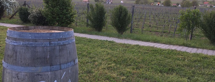 Tiffán Ede és Zsolt Pincészete is one of Borászat / Winery.