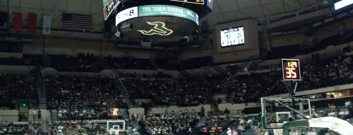 Yuengling Center is one of USF Homecoming.