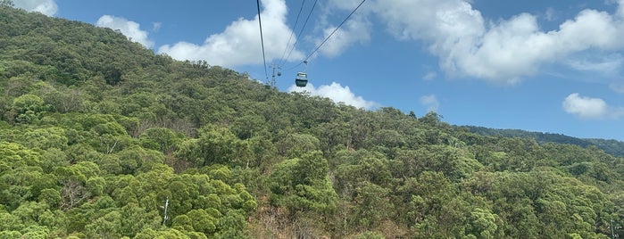 Skyrail Cable Car (Smithfield to Red Peak) is one of Australia trip.