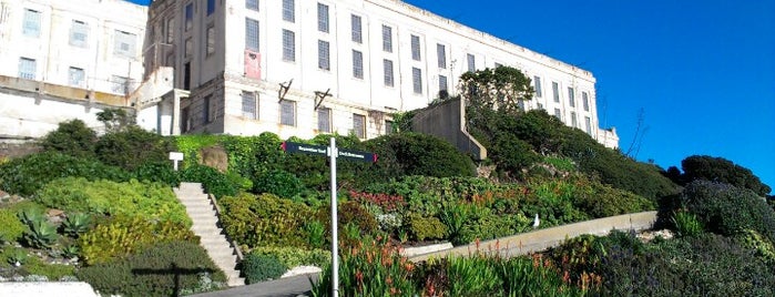 Isla de Alcatraz is one of San Francisco Favourites.