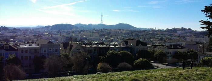 Alta Plaza Park is one of San Francisco Favourites.