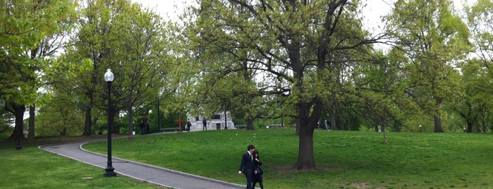 Boston Common is one of Luisさんのお気に入りスポット.