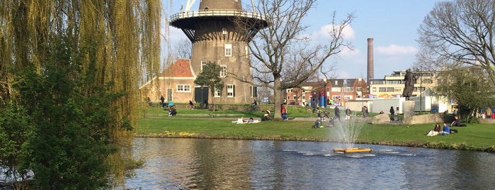 Guide to Leiden's best spots