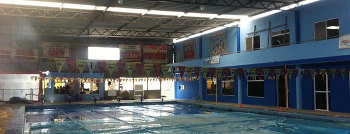 Barracudas Swimming Club is one of CLUB.