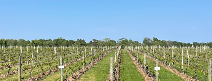 Wölffer Estate Vineyards is one of Hamptons Honeymoon.