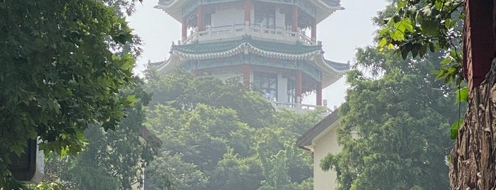 小鱼山公园 Xiaoyushan Park is one of MyChina.