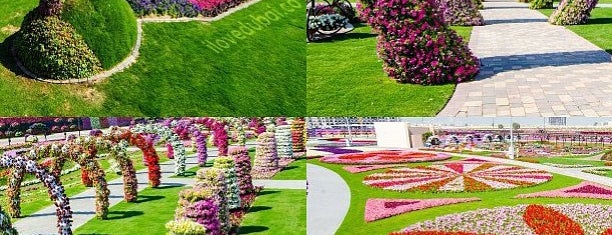 Dubai Miracle Garden is one of Dubai must visits.