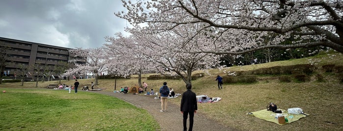 公津の杜公園 is one of 公園.