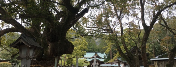 大麻比古神社 is one of 別表神社 西日本.