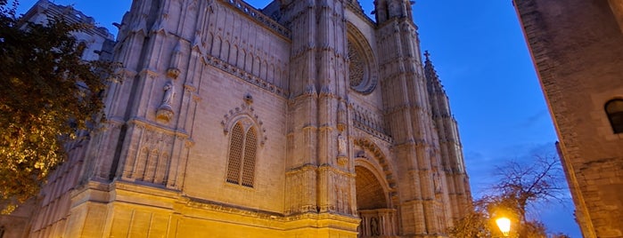 La Seu / Catedral de Mallorca is one of Tempat yang Disukai Miguel.