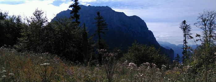 Grünbergalm is one of Stefanさんのお気に入りスポット.