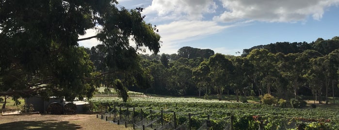 Polperro Restaurant & Bistro is one of Mornington Peninsula.