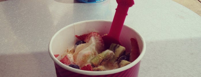Menchies Frozen Yogurt is one of The Next Big Thing.