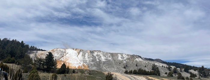 Mammoth Hot Springs is one of usa roadtrip.