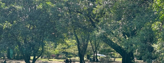 Laguna Jardín Botánico is one of Colombia.