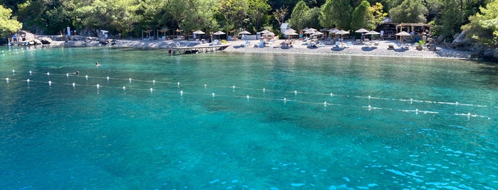 Rüzgarlı Koyu is one of Plaj.
