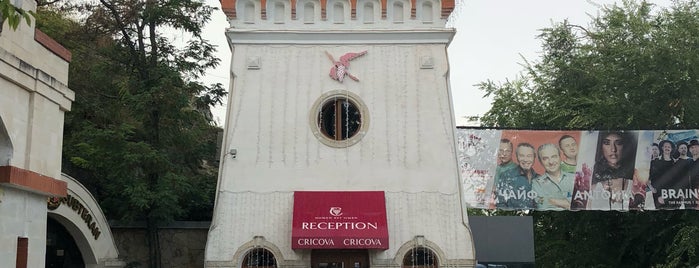 Combinatul de vinuri Cricova is one of FOOD AND BEVERAGE MUSEUMS.