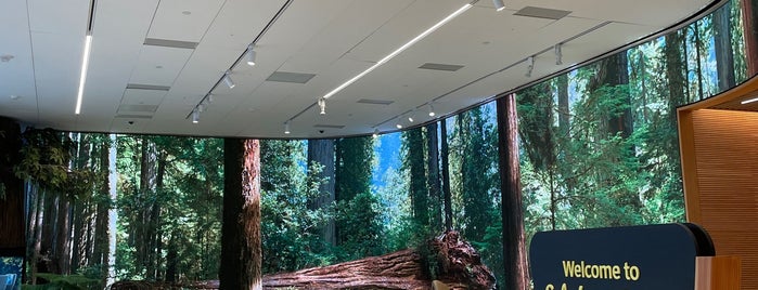 Salesforce Tower is one of San Francisco Finds.