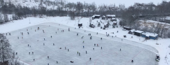 Стадион "Криогенмаш" is one of Groundhopping.ru.