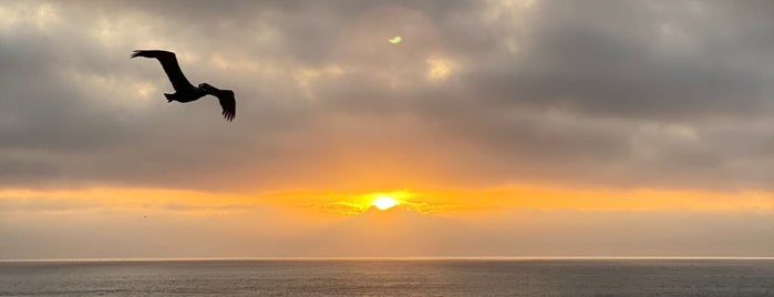 La Jolla Shores Beach is one of SD.