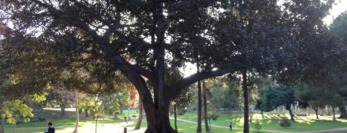 University of California, Irvine (UCI) is one of Easy Peasy Evening Strolls in South OC.
