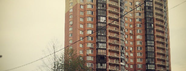 Долгопрудный is one of Окрестности Москвы.