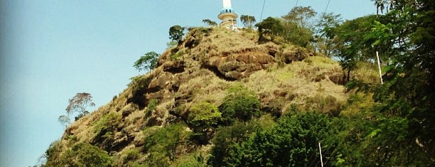 Mimoso do Sul is one of สถานที่ที่ Marcio ถูกใจ.