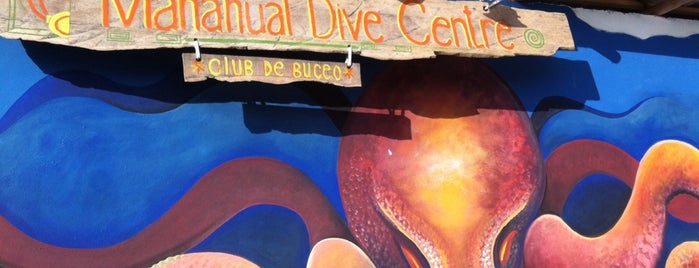 Mahahual Dive Centre is one of M A H A H U A L ❤️.