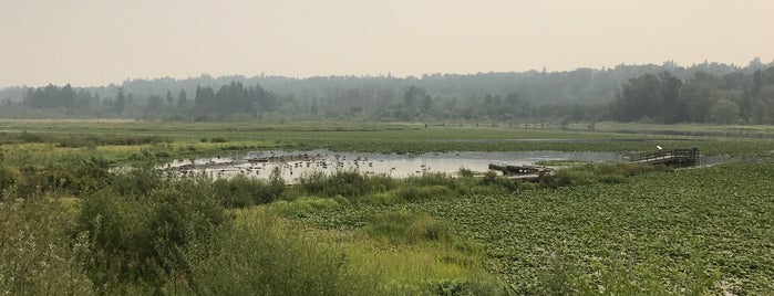 Burnaby Lake Viewing Tower is one of Fabioさんのお気に入りスポット.