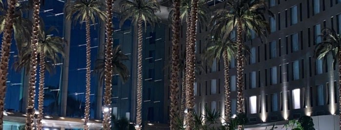 Hilton Cairo Heliopolis Pool & Bar is one of Entertainment.