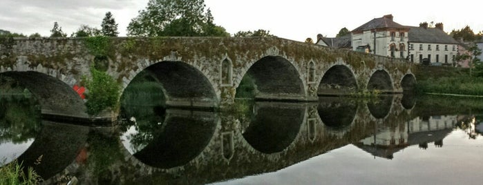 Graiguenamanagh Bridge is one of Ireland.