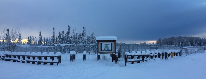 Fairbanks Dog Park is one of Life.