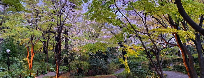 御殿山庭園 is one of 東京2.